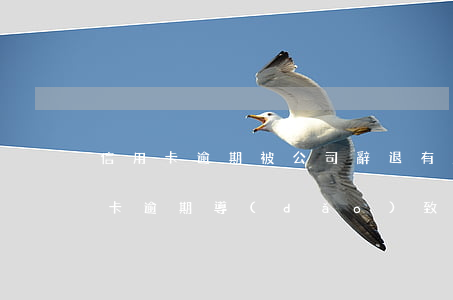 信用卡逾期被公司辭退有賠償嗎怎么辦，信用卡逾期導(dǎo)致被公司辭退，是否有賠償？解決方案解析